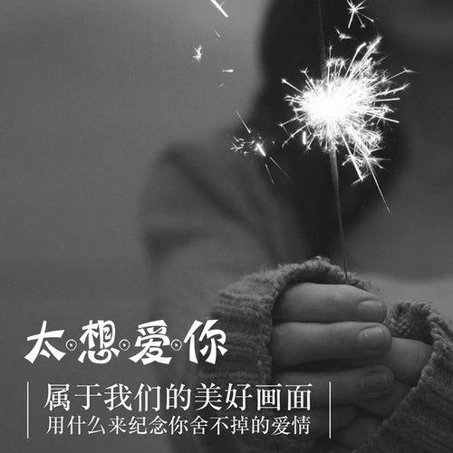 太想爱你,跨越时空的深情告白