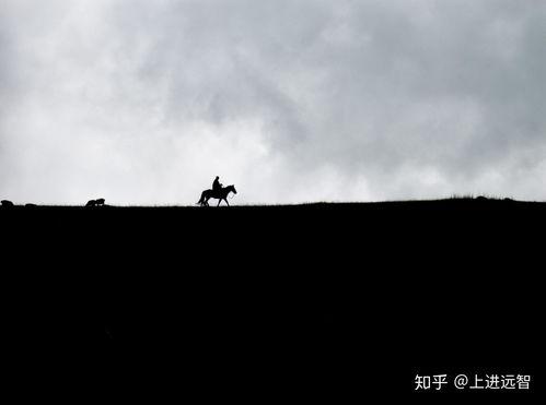 孤立无援,逆境中的生存与抗争